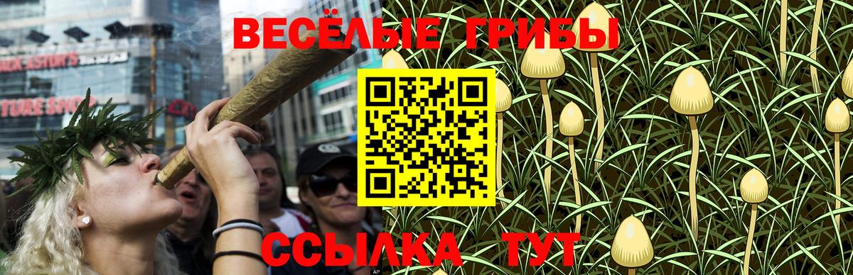 Наро-Фоминск  Галлюциногенные грибы Psilocybine cubensis  дарнет шоп  Вход с VPN 