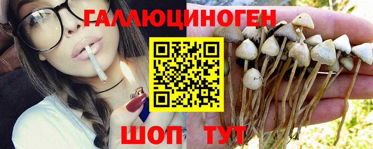 Галлюциногенные грибы Magic Shrooms Наро-Фоминск